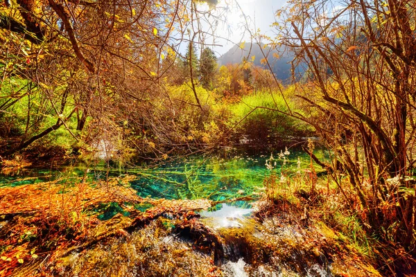 Schilderachtige vijver met smaragdgroen water op één van de niveaus van de waterval — Stockfoto