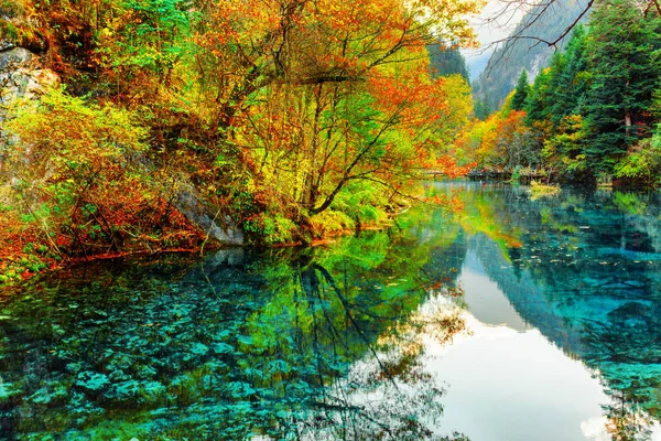 The Five Flower Lake. Colorful autumn forest reflected in water — Stock Photo, Image