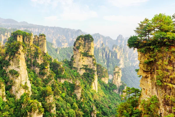 Γραφική θέα του καταπληκτική canyon (Avatar βουνά) — Φωτογραφία Αρχείου