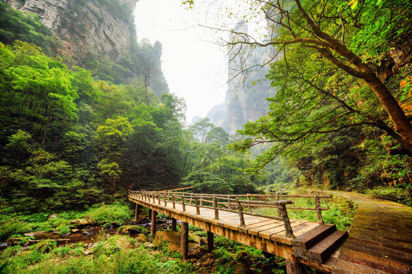 Amazing view of wooden bridge over river with crystal clear water at bottom of deep mountain gorge among green woods and steep cliffs in the Zhangjiajie National Forest Park, Hunan Province, China.