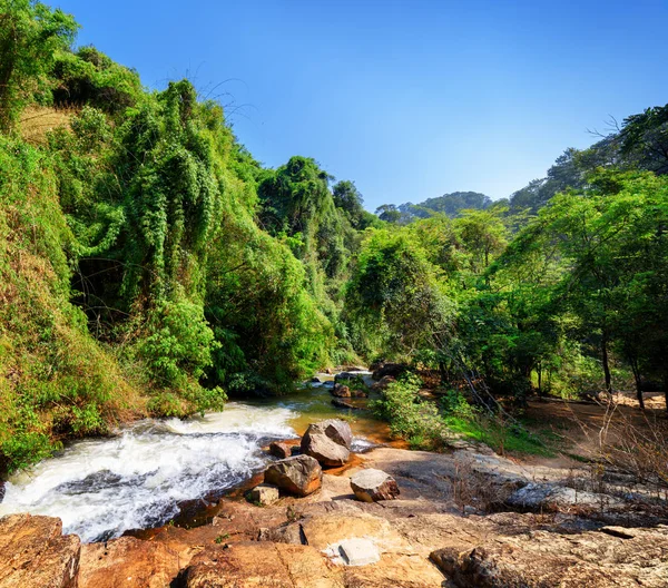 Geweldig uitzicht op de rivier van de berg onder groene bossen — Stockfoto