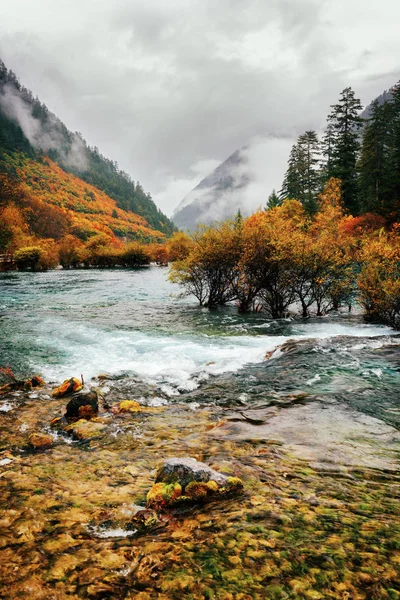 Krásný výhled na Bonsai mělčin, Shuzheng Valley, Čína — Stock fotografie