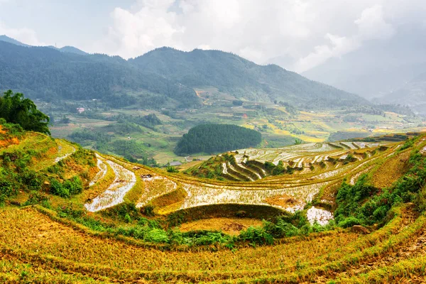 Vista de terrazas de arroz llenas de agua en las tierras altas de Vietnam —  Fotos de Stock