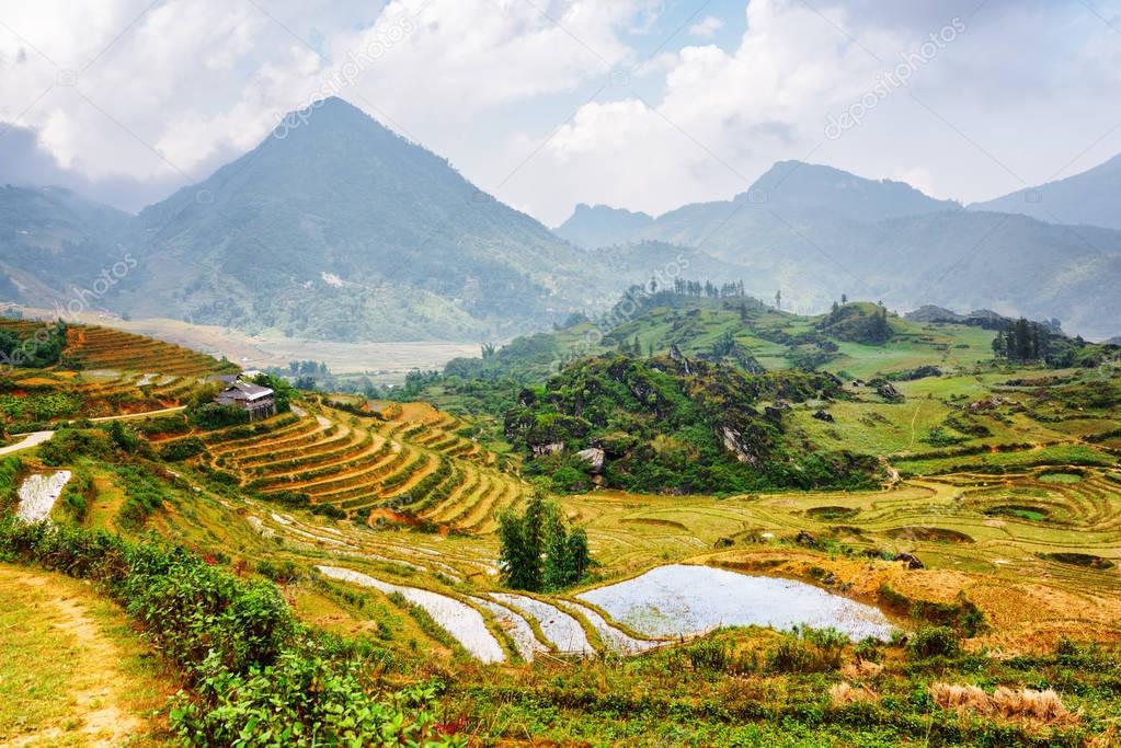 Scenic view of rice terraces filled with water at highlands