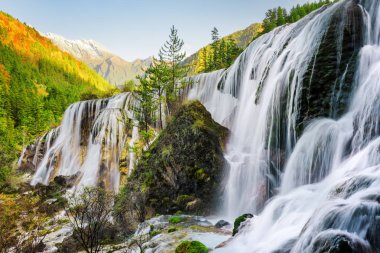 Pearl sürüler şelale ve ormanda günbatımı güzel görünümü