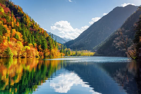 惊人的熊猫湖的观点。秋天的树林，反映在水中 — 图库照片