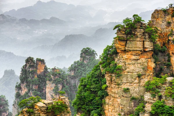 Vue panoramique d'arbres poussant sur des falaises escarpées (Avatar Rocks ) — Photo