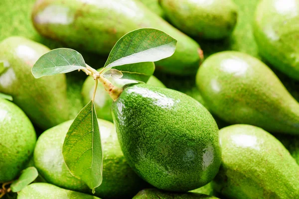 Крупный план зрелого авокадо на рынке — стоковое фото