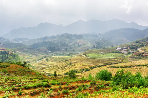 Vista de campos de arroz en terrazas en las tierras altas de Sa Pa en Vietnam —  Fotos de Stock