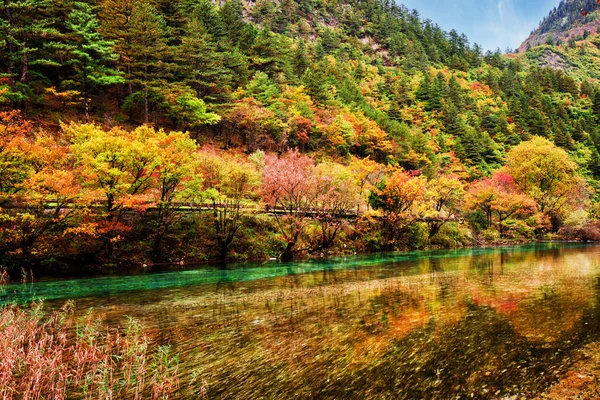 Úžasné řekou s křišťálově čistou vodou, mezi lesy na podzim — Stock fotografie