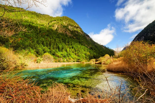 Fluss mit azurblauem, kristallklarem Wasser inmitten bewaldeter Berge — Stockfoto