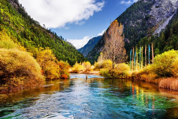 Atemberaubende Aussicht auf den malerischen Fluss mit kristallklarem Wasser inmitten der Berge — Stockfoto