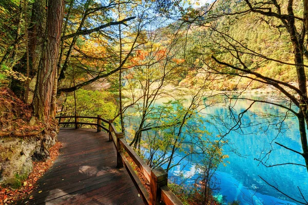 Calçadão de madeira que conduz ao longo do lago azul entre as madeiras de outono — Fotografia de Stock