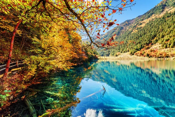 Increíble vista del lago con agua azul entre coloridos bosques de otoño —  Fotos de Stock