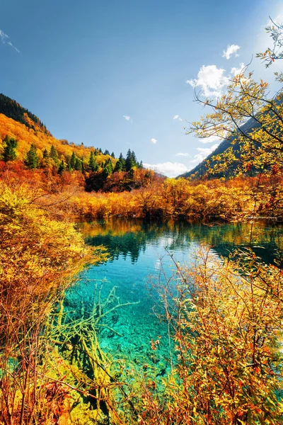 Floresta de outono refletida em lagoa incrível com água azul — Fotografia de Stock