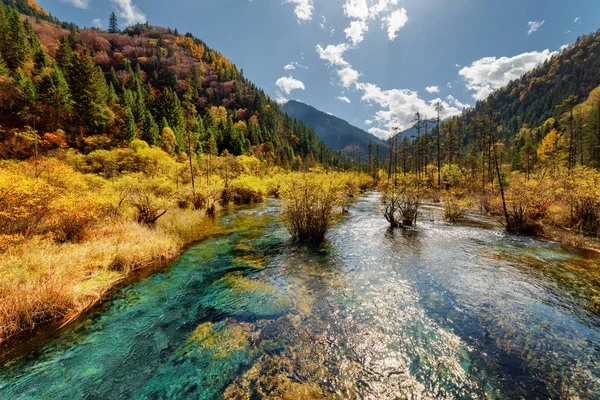 Hermoso río con agua cristalina entre bosques y montañas —  Fotos de Stock
