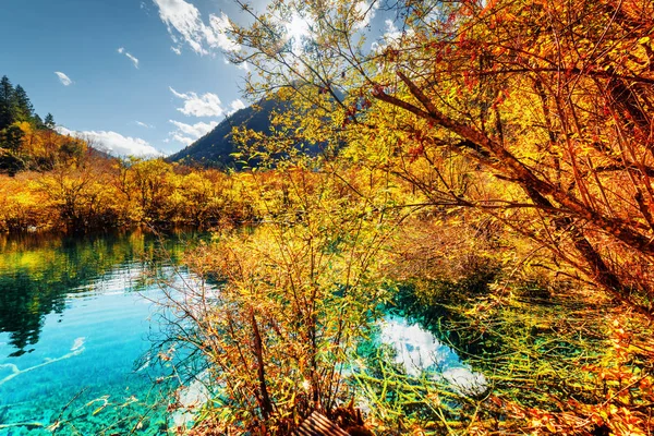 Amazing pond with azure crystal clear water among fall woods — Stock Photo, Image