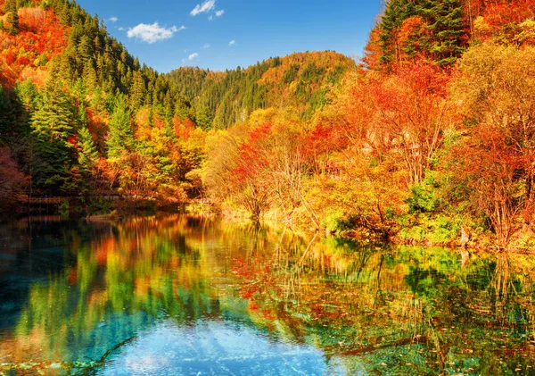 Autumn woods reflected in crystal water of the Five Flower Lake — Stock Photo, Image