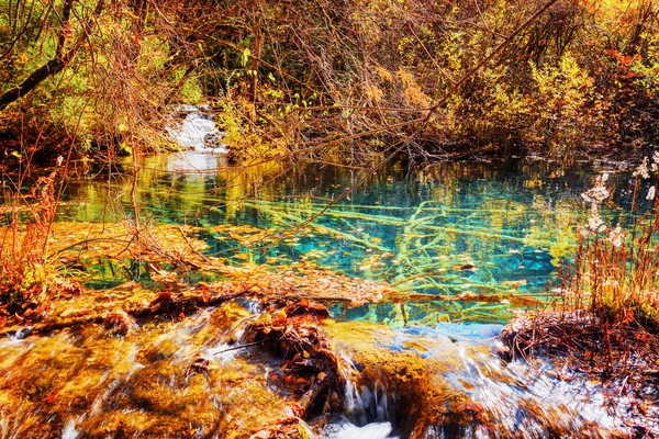 Dammen med azurblå vatten på en av vattenfall nivåer bland skogen — Stockfoto