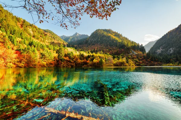 Úžasný výhled na jezero Flower pět mezi krásnými horami — Stock fotografie