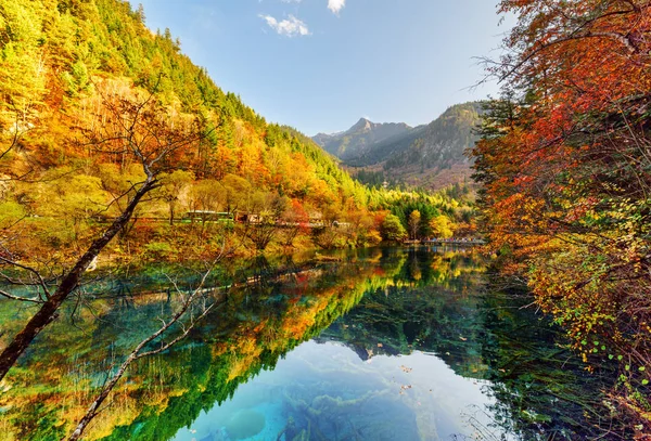 Amazing view of autumn forest reflected in the Five Flower Lake — Stock Photo, Image
