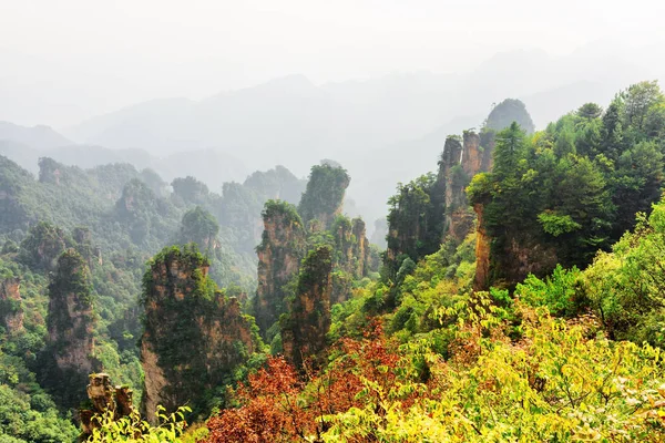 Fantastic view of wooded natural quartz sandstone pillars — Stock Photo, Image