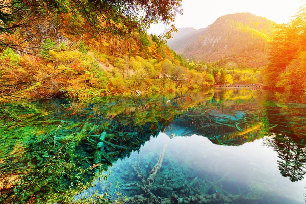 Malebný výhled na jezero Flower pět mezi úžasný podzim lesy — Stock fotografie