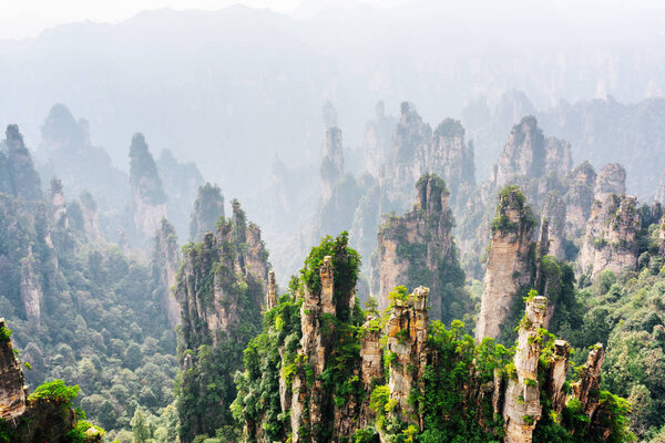 Beautiful view of natural quartz sandstone pillars of fantastic shapes (Avatar Mountains) in the Zhangjiajie National Forest Park, Hunan Province, China. The Tianzi Mountains are visible in background.