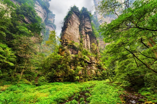 Widok z dołu w niesamowite skały, wśród zielonych lasów i potoków — Zdjęcie stockowe