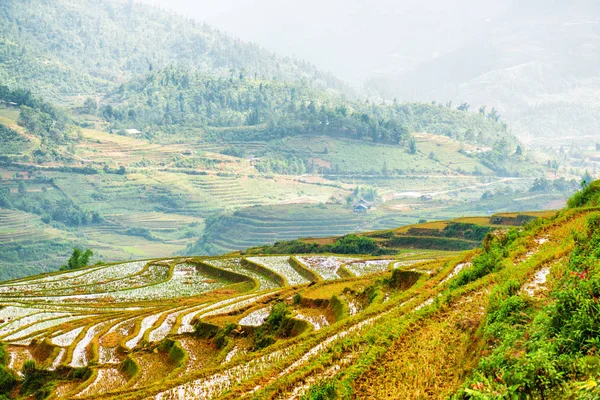 Vista de terrazas de arroz llenas de agua en las tierras altas. Vietnam —  Fotos de Stock