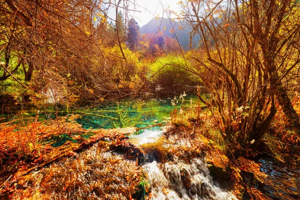 Natural pond with emerald water on one of waterfall levels — Stock Photo, Image