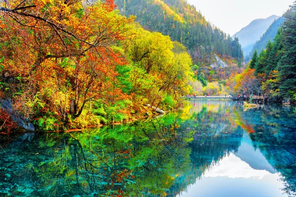 Pět květin jezero. Podzimní les odráží ve vodě — Stock fotografie