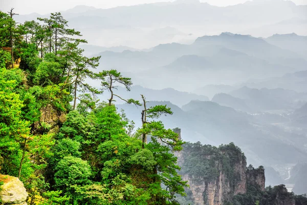 Fantastica vista degli alberi che crescono sulla roccia, Montagne Avatar — Foto Stock