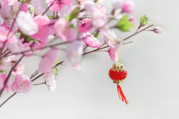 Schöner künstlicher Kirschblütenbaum und chinesische rote Laterne — Stockfoto