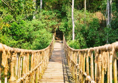 İp ve bambu yapılmış doğal yaya köprüsü