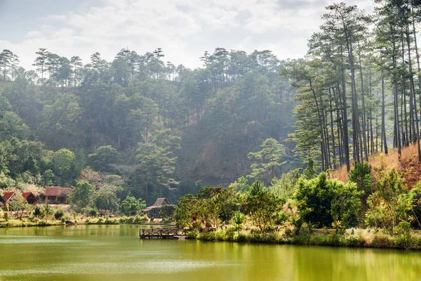 Lago del bosque entre pinares verdes bosques de pinos. Paisaje verano —  Fotos de Stock