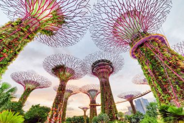 Harika akşam görünümü Skyway ile Supertree Grove