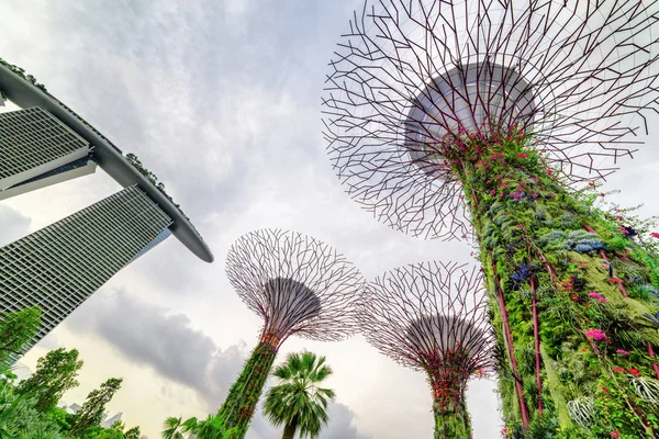 Supertree Grove Singapur şaşırtıcı alttan görünüm