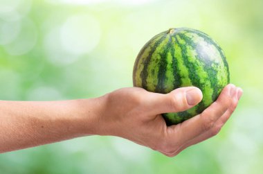Doğa arka plan üzerinde kadının elinde taze küçük karpuz
