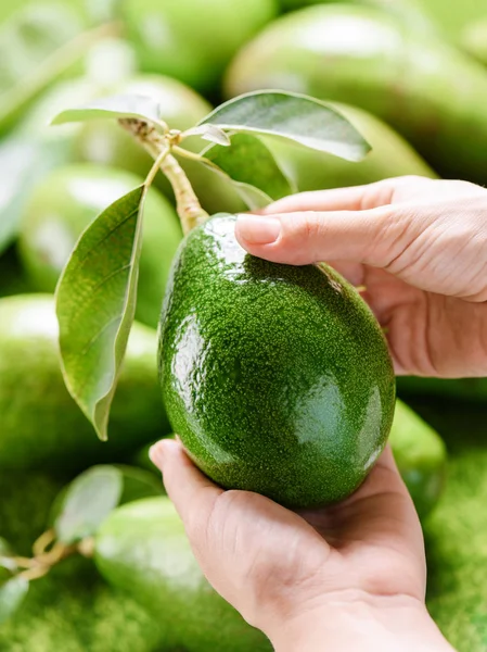 Mujer eligiendo aguacates maduros frescos en la tienda de comestibles — Foto de Stock