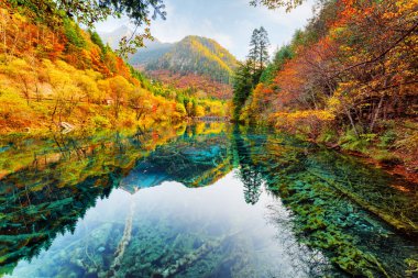Arasında beş çiçek gölün güzel manzara sonbahar woods