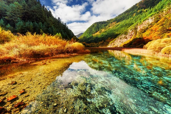 Água cristalina surpreendente de rio. Paisagem de outono colorido — Fotografia de Stock