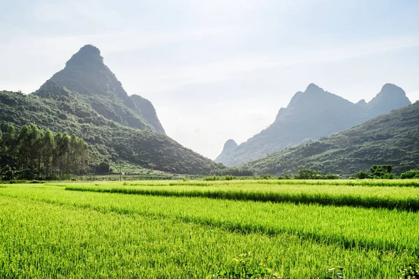 Paisagem cênica em Yangshuo County of Guilin, China — Fotografia de Stock