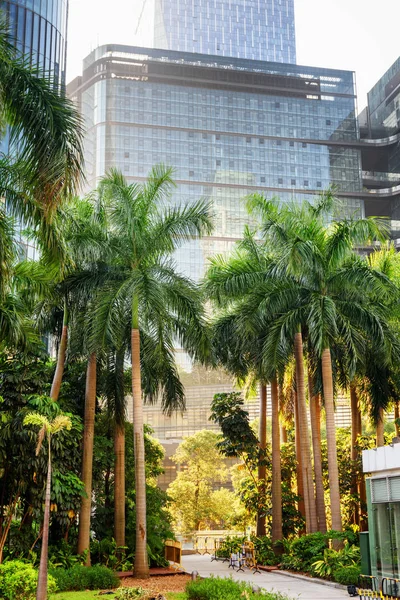 Beaux arbres verts sur fond de bâtiments modernes pittoresques — Photo