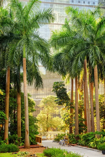 Schilderachtige wandelpad tussen groene bomen op de achtergrond van de modern gebouw — Stockfoto