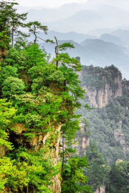 Kaya üzerine, Avatar dağlar büyüyen ağaçlar güzel görünümü