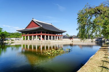 Harika manzarasını Gyeonghoeru Kasrı ve Gyeongbokgung Sarayı