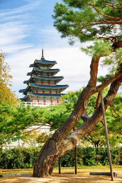 Beautiful tower of the National Folk Museum of Korea, Seoul — Stock Photo, Image