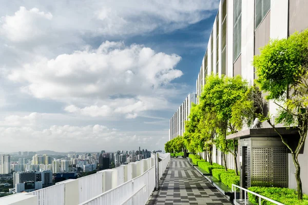 Takträdgård i Singapore. Naturskön utomhusterrass med park — Stockfoto