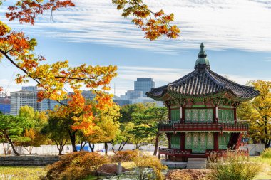 Doğal sonbahar görünümü Hyangwonjeong Pavyonu, Seoul, Güney Kore
